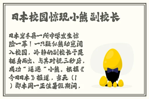 历史课代表蕾丝背心